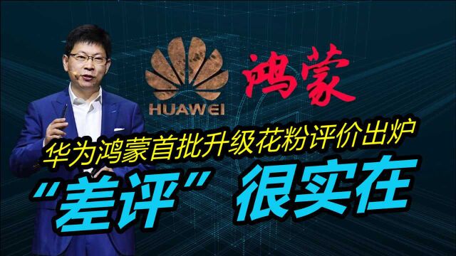 华为鸿蒙正式发布后,首批升级花粉评价出炉,“差评”很实在