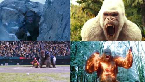 影视中这四大猩猩，闪电猩猩的速度无人能敌，白毛猩猩要笑死人了