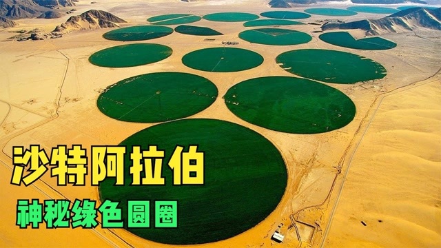 6件罕见的事沙特阿拉伯沙漠中的绿色圆圈竟然是农田
