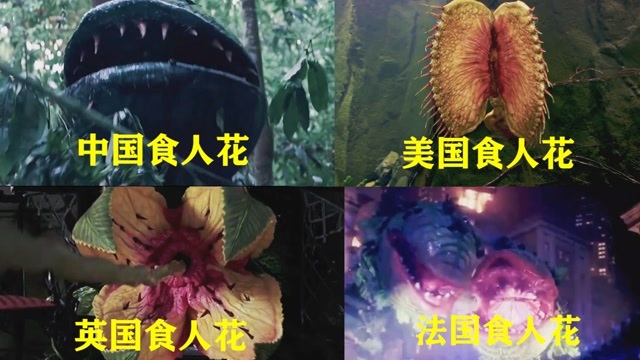 这四部电影中的食人花那个比较凶残,美国食人花吃人,法国食人花能吞下