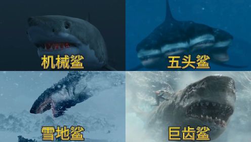 电影中的各种鲨鱼，谁是王者？五头鲨能击毁直升机！