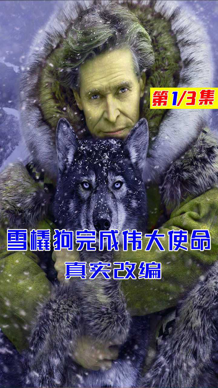 真实改编,雪橇犬完成伟大使命.#多哥_腾讯视频