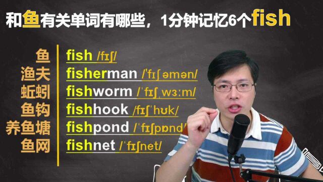 英语单词fish是单复数同形?跟山姆老师一分钟扩展,巧妙记单词