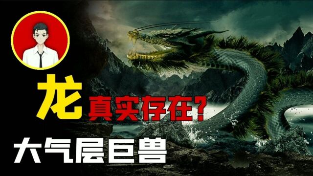 龙是虚构还是真实存在?穿梭于大气层的“神秘生物”,证据实锤?