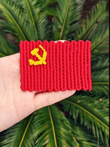 庆祝建党百年手工编织党旗编法视频分享