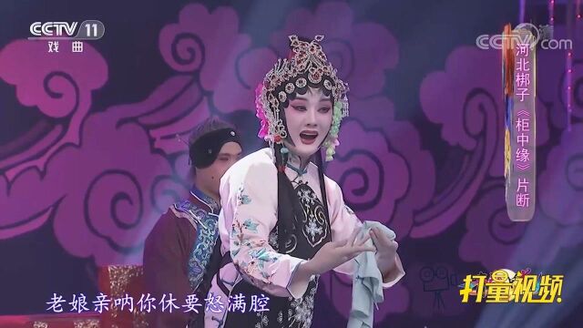 刘璐璐表演河北梆子《柜中缘》,委屈得令人心疼