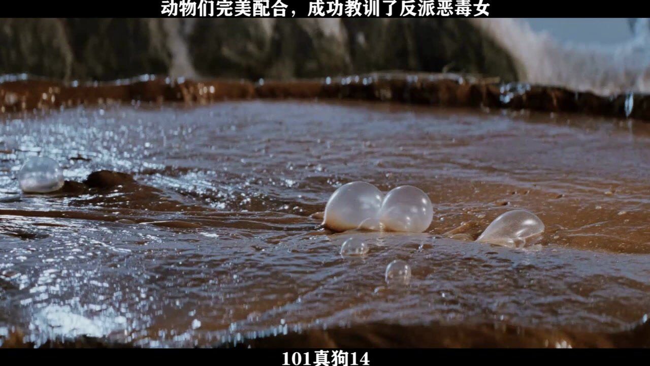 101真狗14动物们完美配合,成功教训了反派恶毒女_高清1080P在线观看平台_腾讯视频