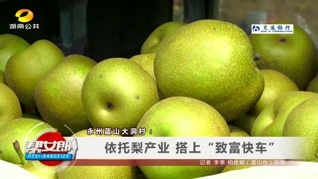 (圆梦小康)永州蓝山大洞村:依托梨产业 搭上“致富快车” 株洲攸县夏泉村:打造蜜梨产业 推动乡村振兴