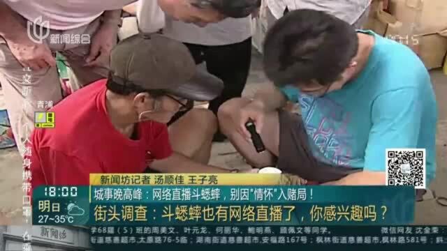 城事晚高峰:网络直播斗蟋蟀,别因“情怀”入赌局!——街头调查 斗蟋蟀也有网络直播了,你感兴趣吗?