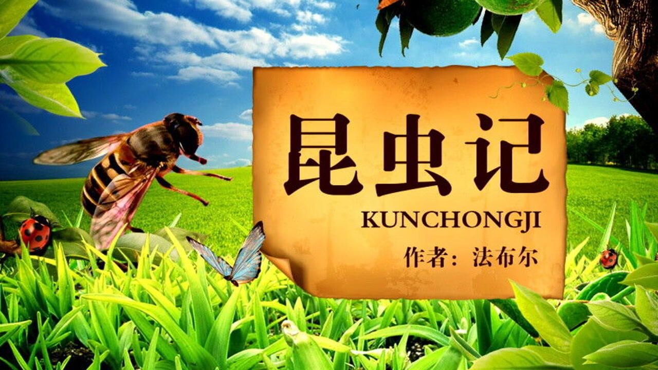 昆虫记15集 泥水匠蜂中的舍腰蜂