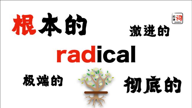 刨“根”问底radical,有“根”有据rad