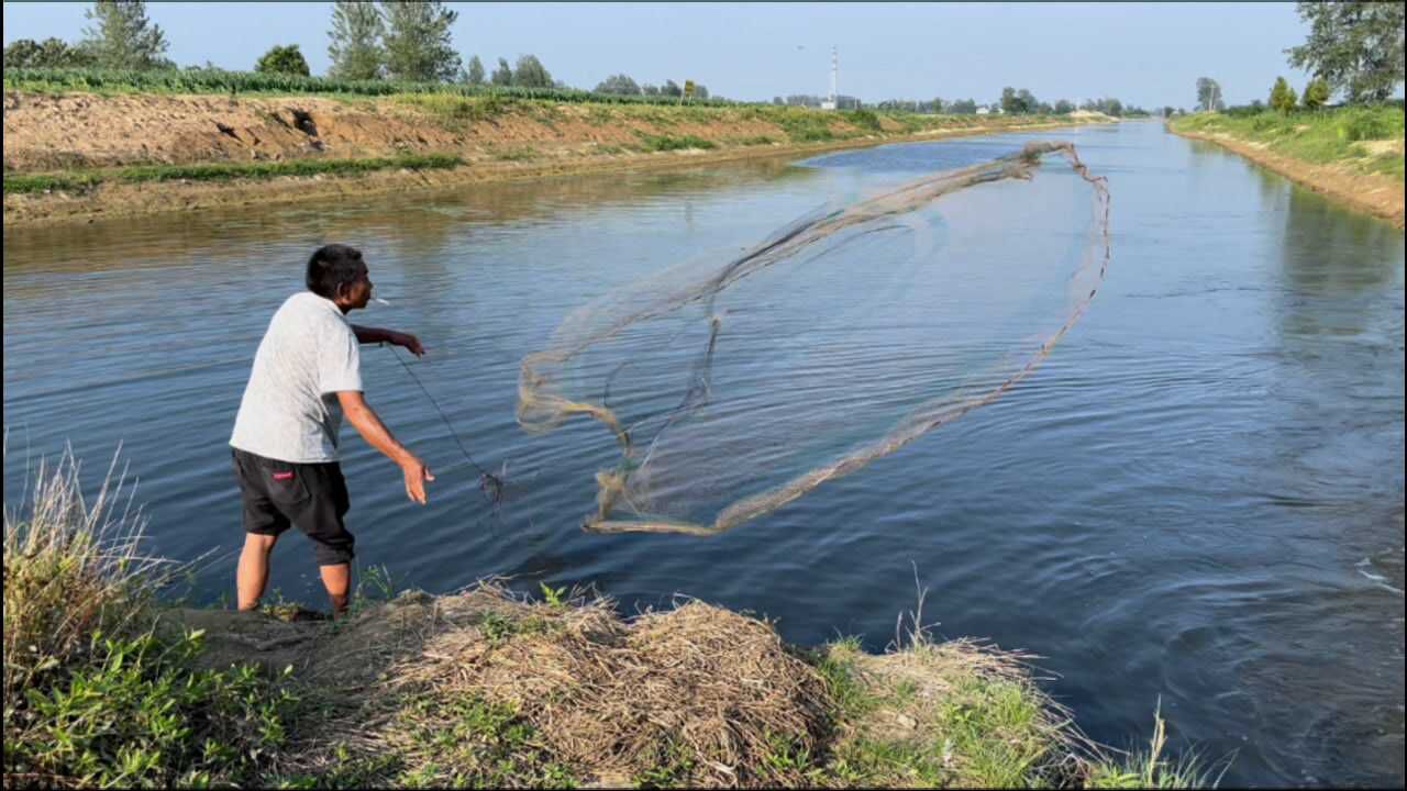 野河邊撒網捕魚,這手法絕對是專業的,捕到的全是這種金魚_騰訊視頻