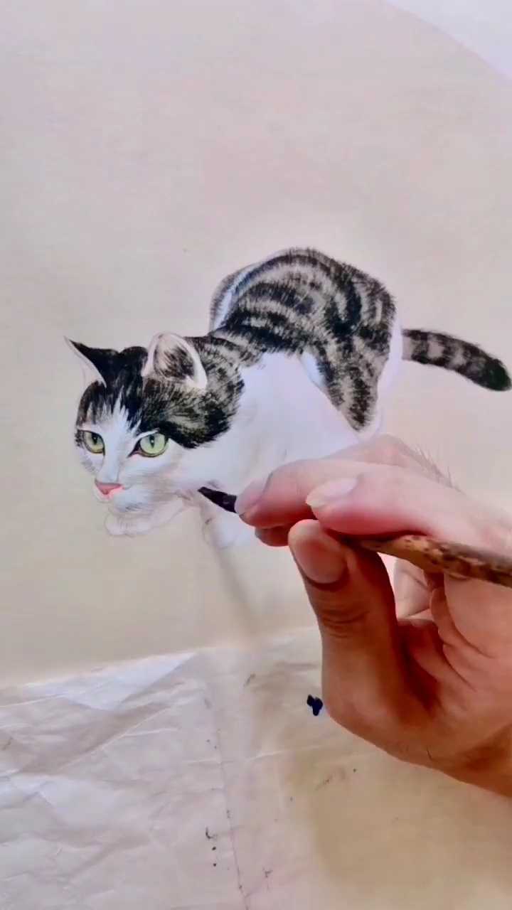 我把老虎画成了猫
