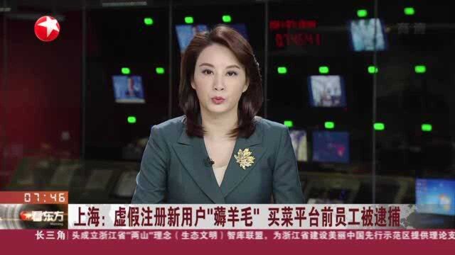 上海:虚假注册新用户“薅羊毛” 买菜平台前员工被逮捕