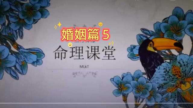 情感婚姻篇5