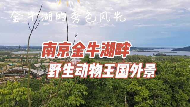 南京金牛湖畔野生动物王国外景,金牛湖的秀色风光尽收眼底!