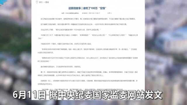 回顾:停薪留职人员15年没来上班,仍领46万工资,巡查组发现这事不对劲