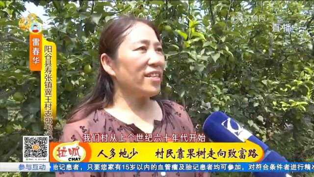 阳谷县冀王村:一亩园十亩田,种水果致富吸引年轻人回村