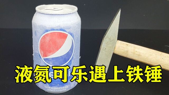 1100Ⰳ液氮会让东西变硬?牛人用各种物品测试,过程超解压!#知识ˆ’知识抢先知#