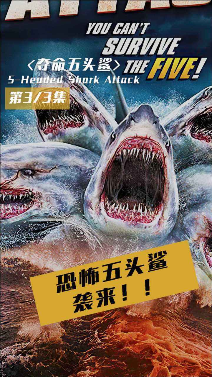 恐怖五头鲨鱼袭来,鲨鱼猎手对战五头鲨!