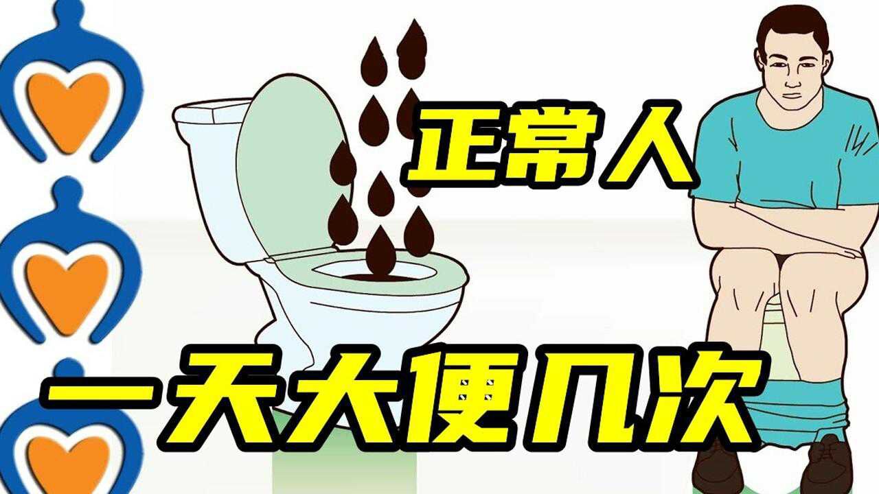正常人一天大便几次？三四次正常吗？什么情况下需要看医生？#“知识抢先知”征稿大赛#_高清