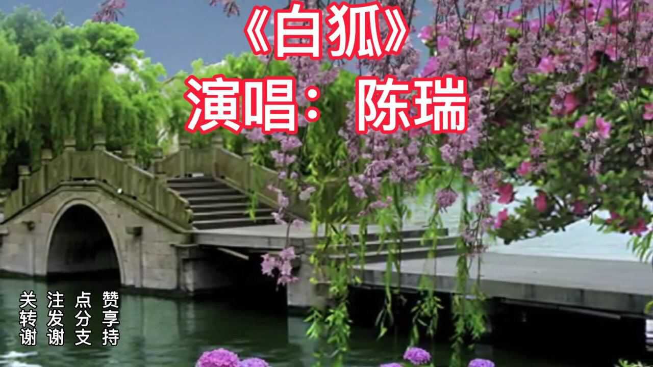 终于找到真正的《白狐》原唱,凄凉幽美,百听不腻腾讯视频}