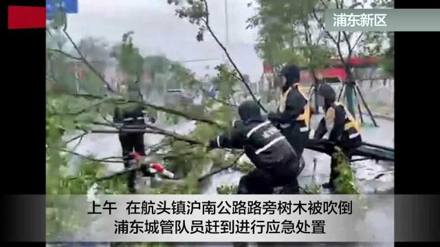 “烟花”发威树木倒伏广告牌吹落 这群人顶风冒雨排除隐患