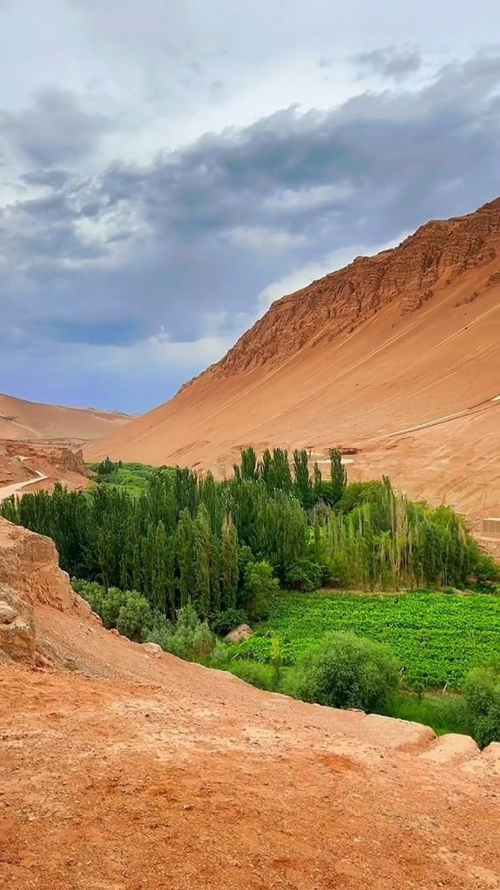 火焰山脚下的葡萄沟