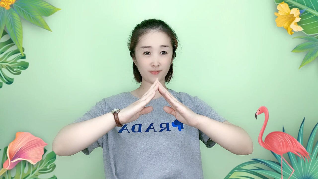 幼儿儿童手势舞元日幼儿国学古诗词早教手势舞