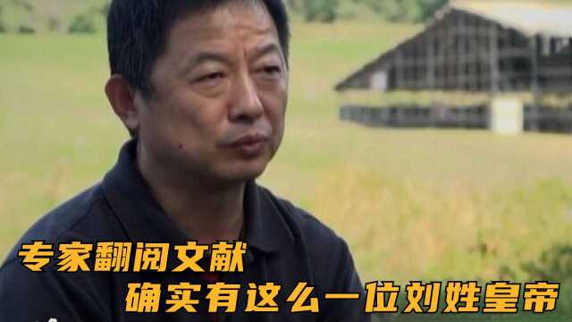 专家翻阅文献,确实有这么一位刘姓皇帝