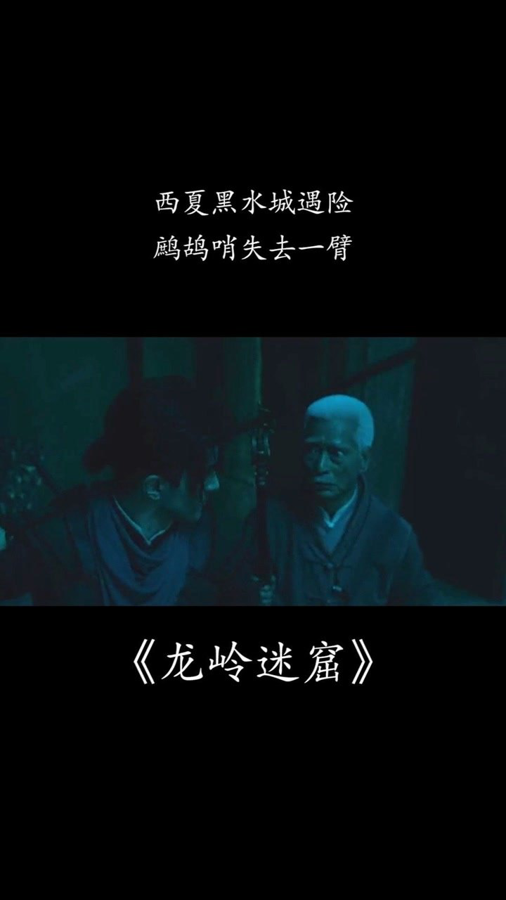 龙岭迷窟西夏黑水城遇险鹧鸪哨失去一臂鬼吹灯之龙岭迷窟