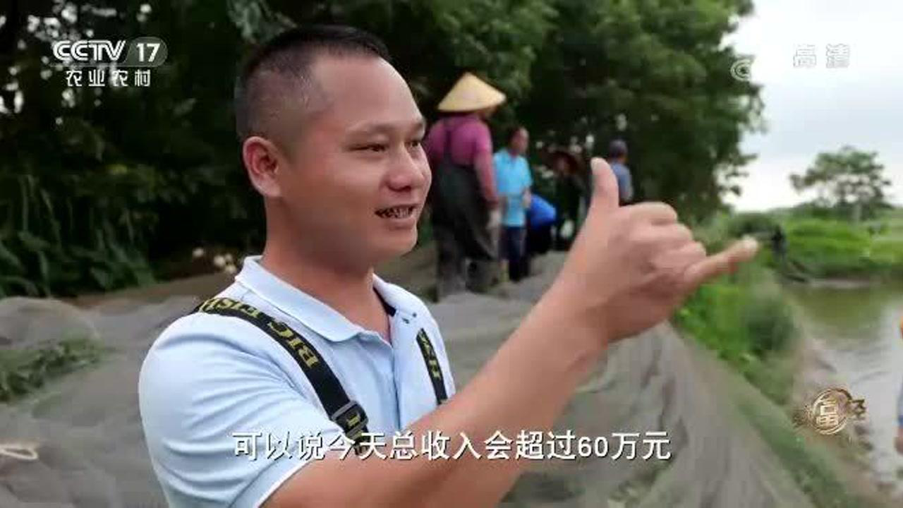 2021年致富经视频全集(致富经养羊视频全集)