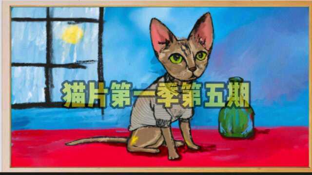 猫片第五期