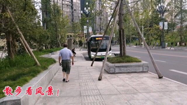 散步路上赏风景!