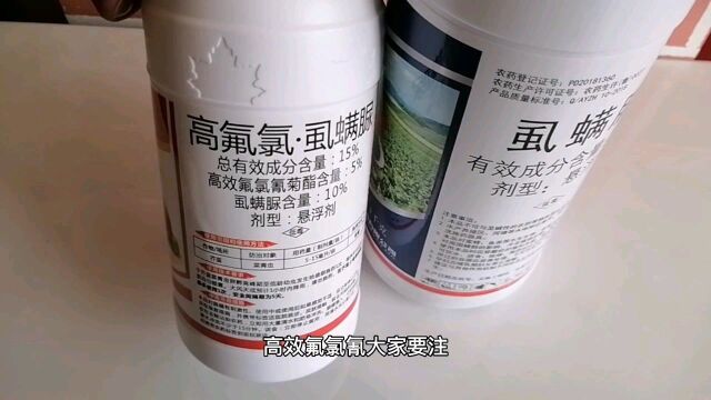 打锈壁虱虱螨脲怎么不管用了