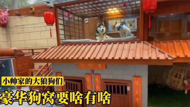 80后小伙花23万给狗建豪华狗窝!600多万网友羡慕狗狗的幸福生活