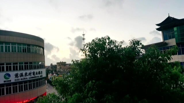 美景:夕阳西下,听百鸟归巢