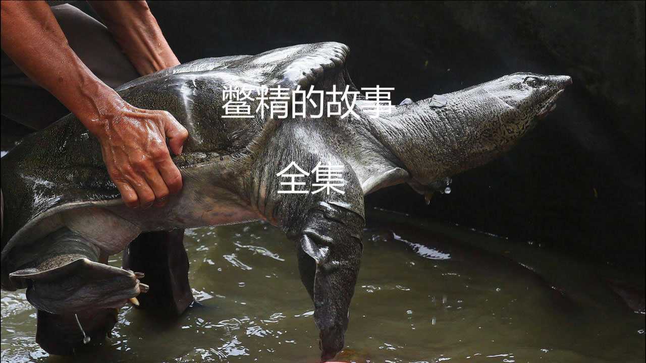 民间故事《三》鳖精的故事_腾讯视频