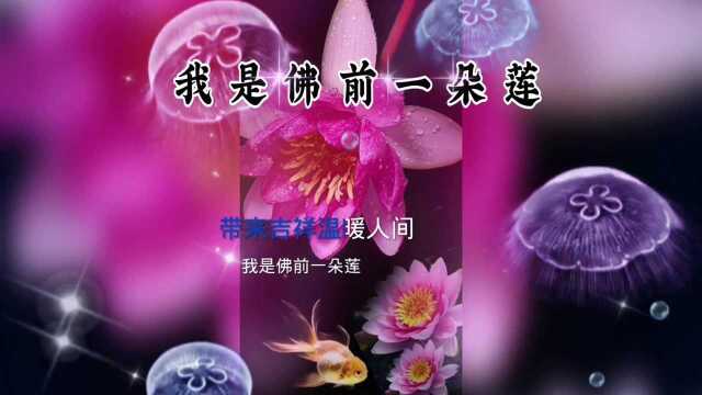 《我是佛前一朵莲》经典好歌