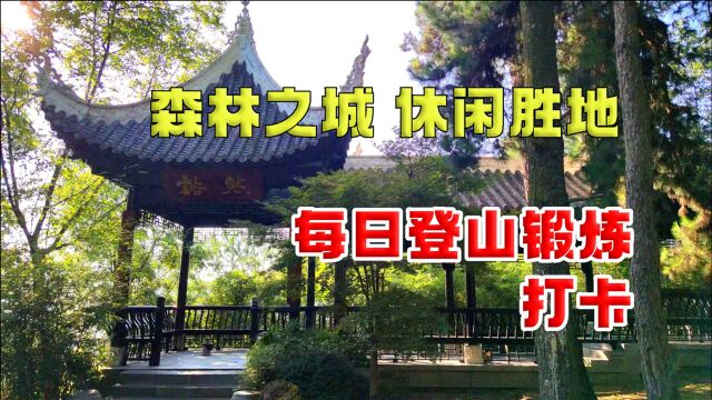 36.实拍森林之城 休闲胜地,天然氧吧,每日登山锻炼打卡之地.