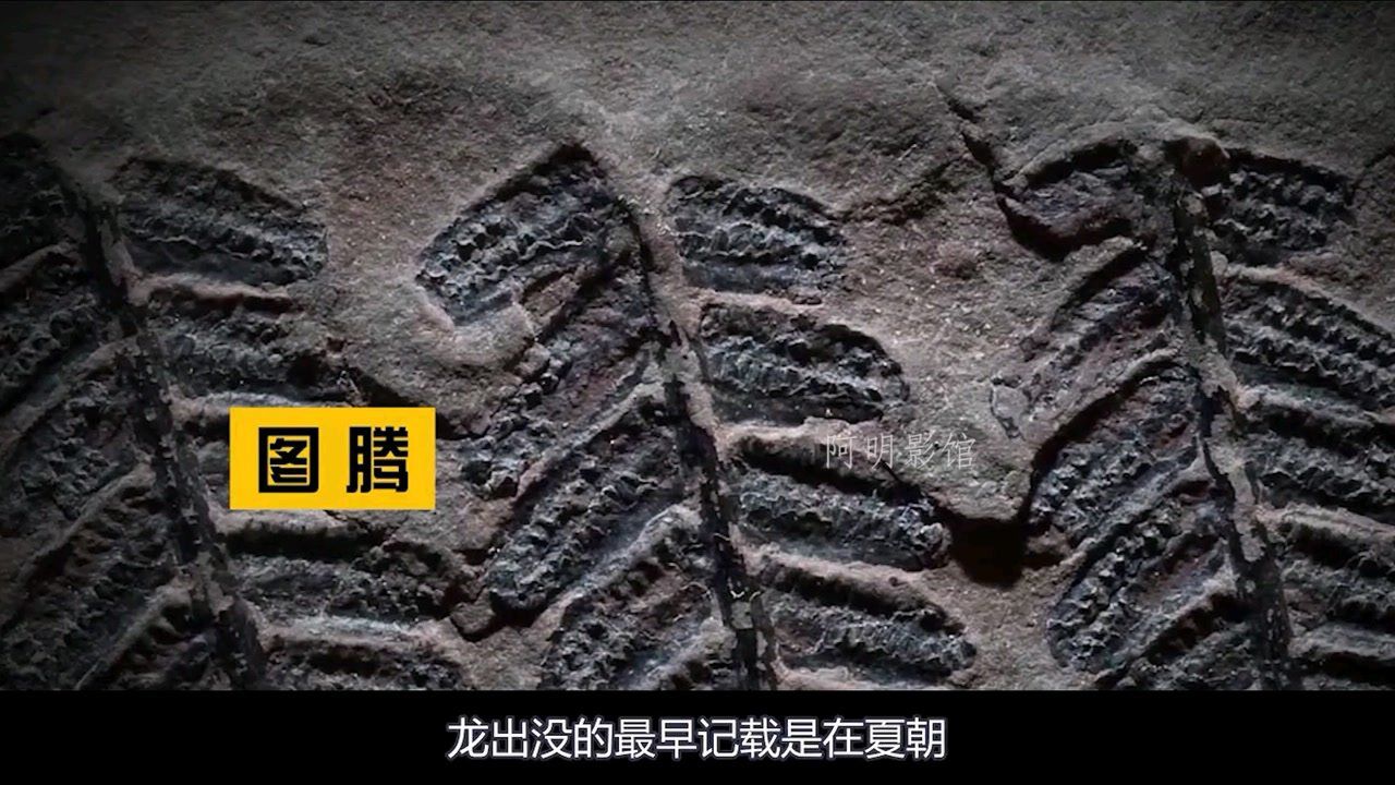 龙真的存在吗？万人目睹真龙现身？细数历史上龙存在的证据？_腾讯视频