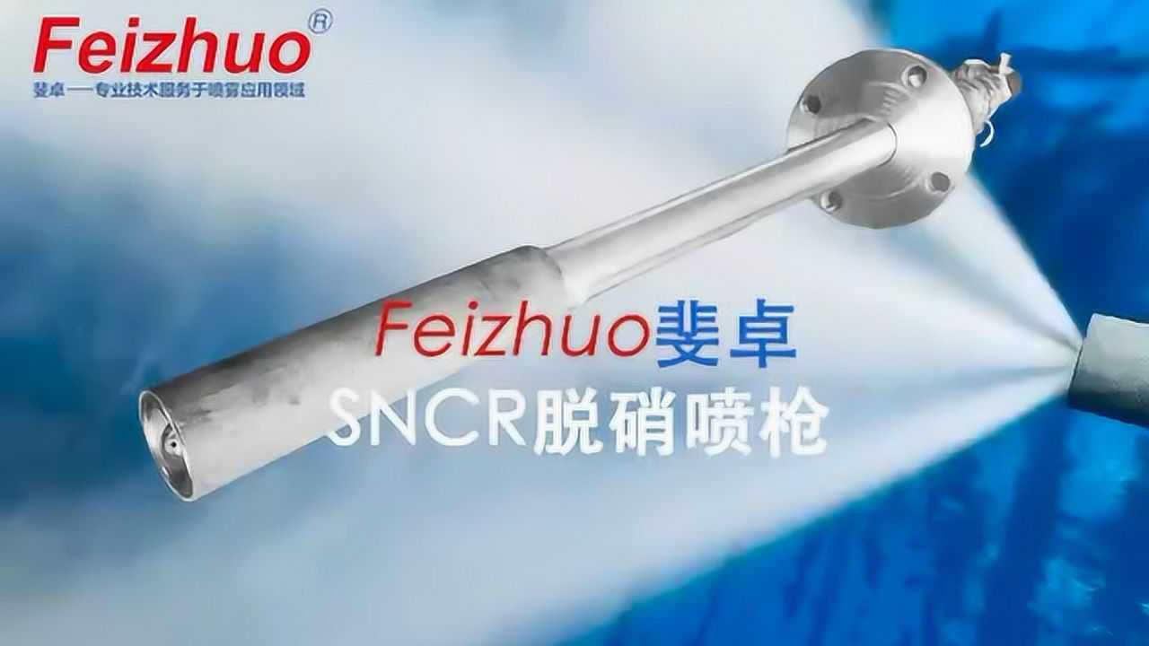feizhuo斐卓sncr脱硝喷枪喷枪氨水尿素上海脱硝喷枪厂家替代进口