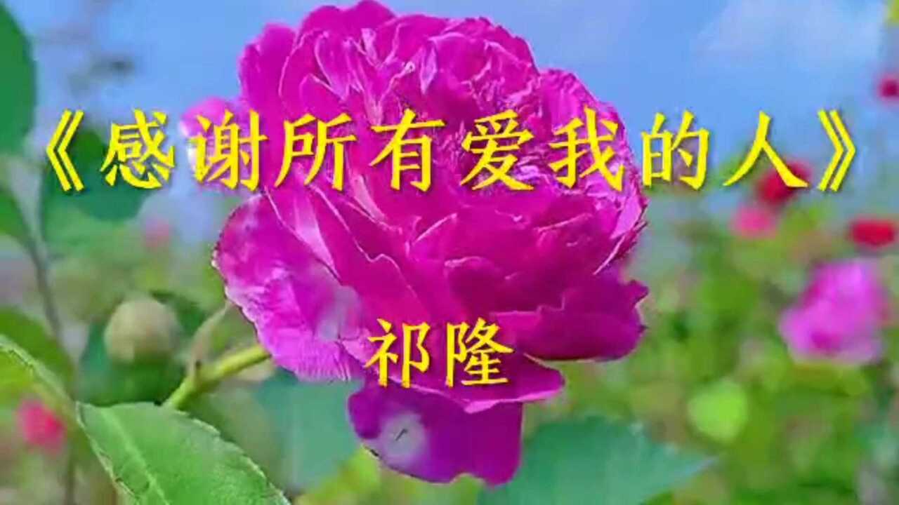 《感谢所有爱我的人》祁隆演唱