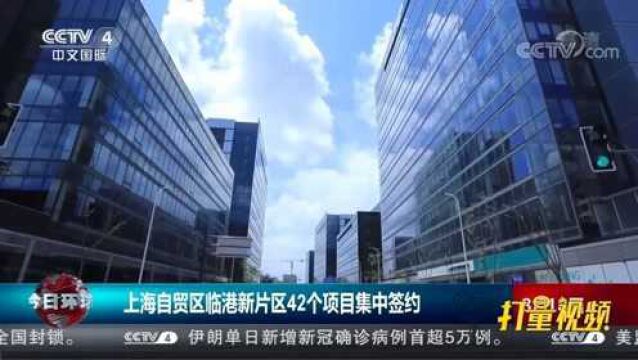 上海自贸区临港新片区42个项目集中签约