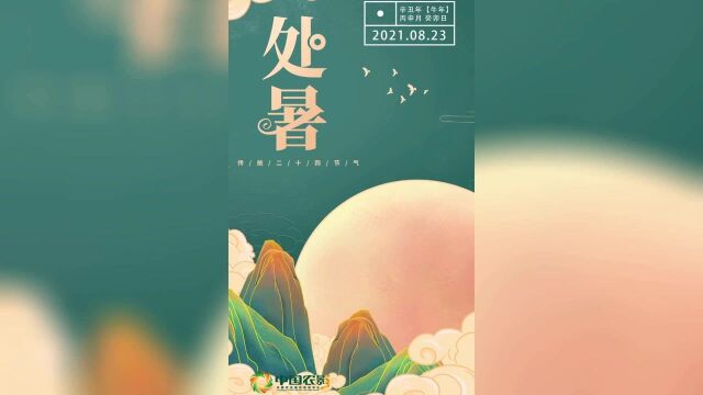 节气:处暑