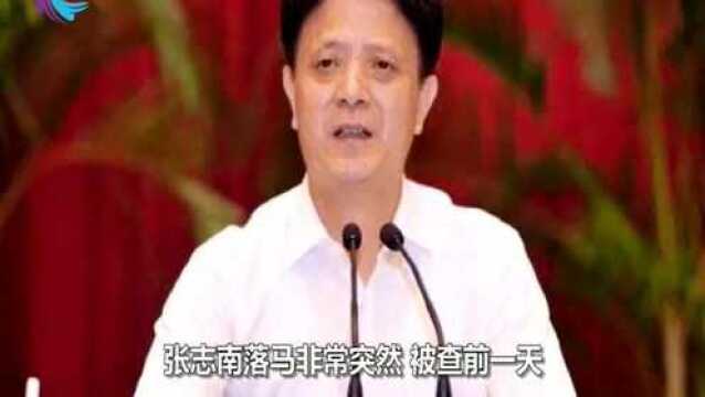 2020年落马首虎被双开,被查前一天还在出席会议,官方披露细节