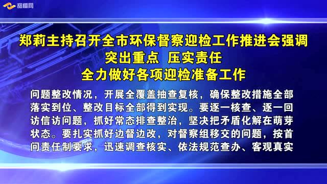 郑莉主持召开全市环保督察迎检工作推进会强调 突出重点 压实责任 全力做好各项迎检准备工作