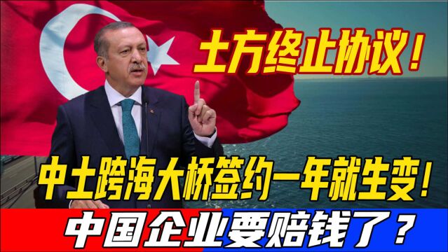 土耳其终止协议,中国企业要赔钱了?中土跨海大桥签约一年生变!