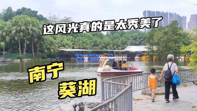 南宁新秀公园湖岸风光好秀美,来的人都说好