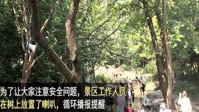 【新闻110】探访南京野外新景点 ,紫金山溯溪成“网红”,每天数千人寻清凉